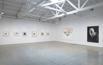 The Jewel in Modern Art exhibition at LACMA - The Jay DeFeo Foundation